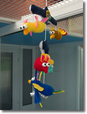 Colourful mobiles hang in our pens